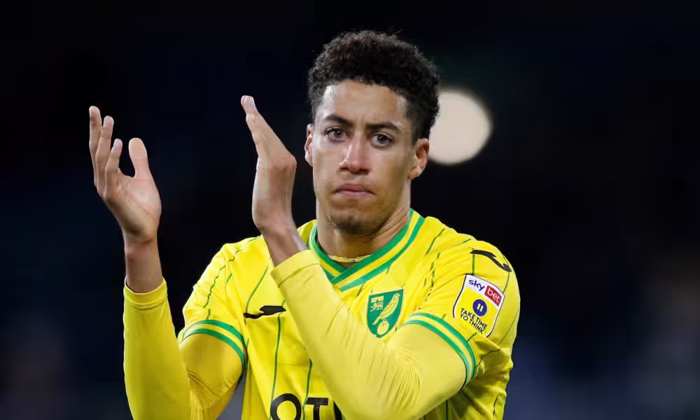 BREAKING NEWS: The Norwich City players who are going to leave in 2025 if nothing is done…